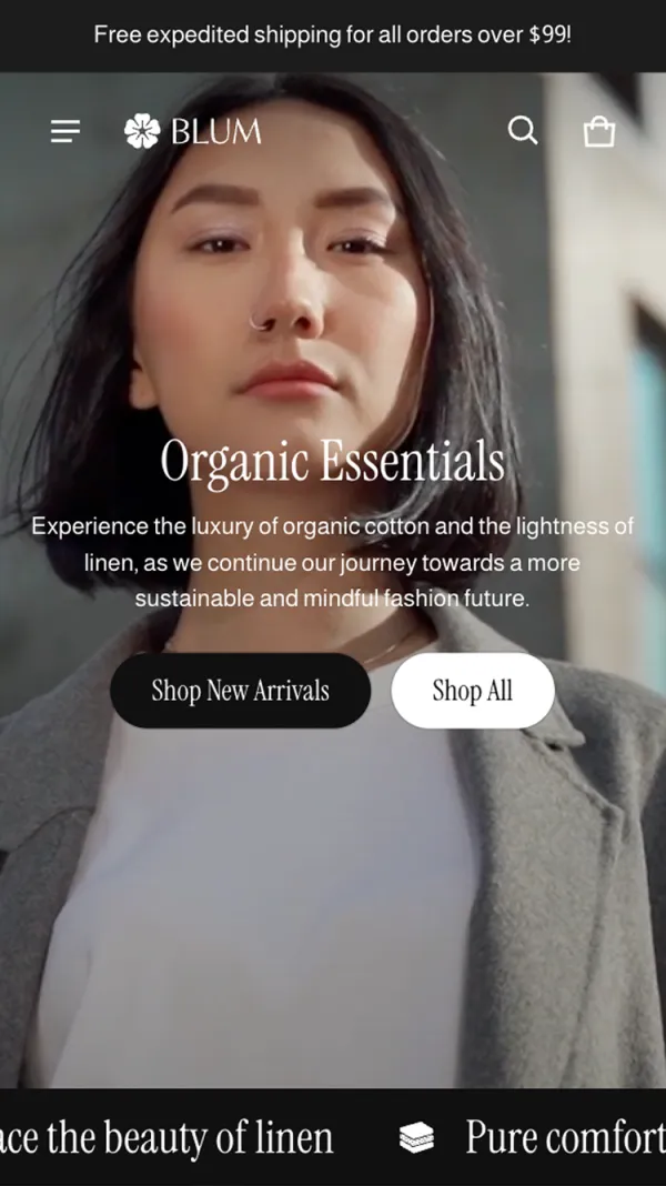 Blum Theme Screenshot